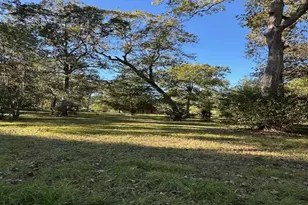 10695 Magnolia Dr, Conroe, TX 77303 - Photo 7