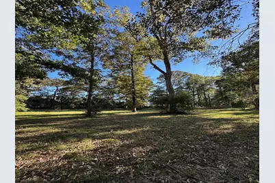 10695 Magnolia Drive, Conroe, TX 77303 - Photo 3