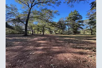 10695 Magnolia Drive, Conroe, TX 77303 - Photo 9