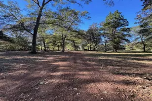 10695 Magnolia Dr, Conroe, TX 77303 - Photo 9