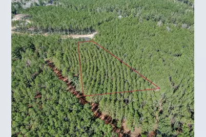 16207 Golden Wood Court, Willis, TX 77378 - Photo 11