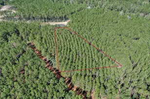 16207 Golden Wood Ct, Willis, TX 77378 - Photo 11