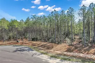 16207 Golden Wood Ct, Willis, TX 77378 - Photo 13