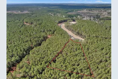 16207 Golden Wood Court, Willis, TX 77378 - Photo 9