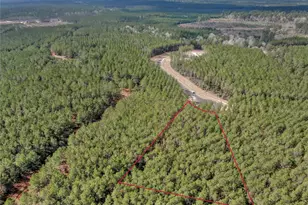 16207 Golden Wood Ct, Willis, TX 77378 - Photo 9