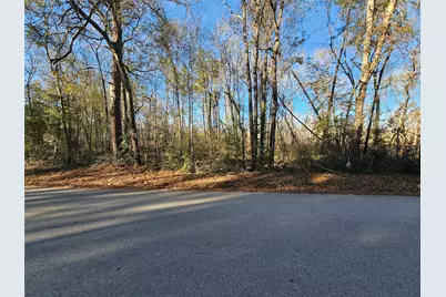 Lot 3 Sherwood Drive, Shepherd, TX 77371 - Photo 5