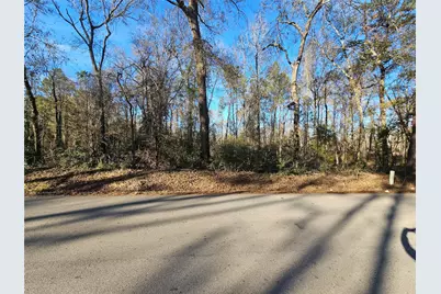 Lot 3 Sherwood Drive, Shepherd, TX 77371 - Photo 1