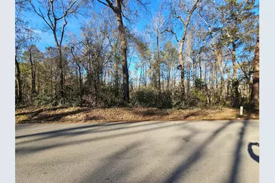 Lot 3 Sherwood Drive, Shepherd, TX 77371 - Photo 3