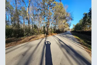 Lot 3 Sherwood Drive, Shepherd, TX 77371 - Photo 21