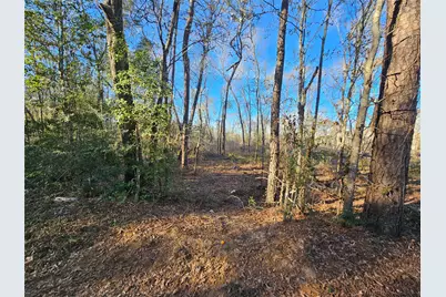 Lot 3 Sherwood Drive, Shepherd, TX 77371 - Photo 19