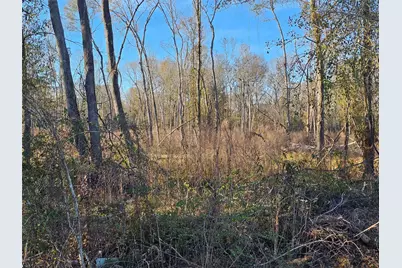 Lot 3 Sherwood Drive, Shepherd, TX 77371 - Photo 13