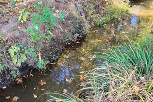 171 Cr 421, Bronson, TX 75930 - Photo 33