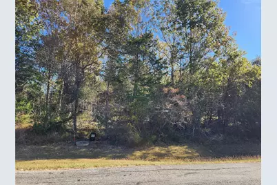 10 N Forest Cove Loop, Coldspring, TX 77331 - Photo 1