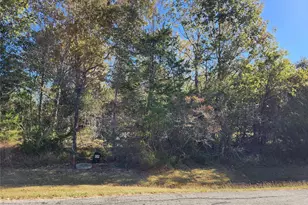 10 N Forest Cove Loop, Coldspring, TX 77331 - Photo 1