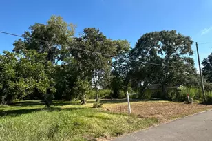 226 W Jackson St, West Columbia, TX 77486 - Photo 1