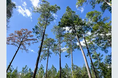 13 Fm 350, Livingston, TX 77351 - Photo 15