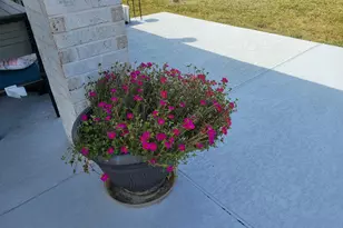 30002 Aralia Dr, Fulshear, TX 77423 - Photo 39