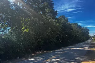 Tbd Buddy Riley Blvd, Magnolia, TX 77354 - Photo 3