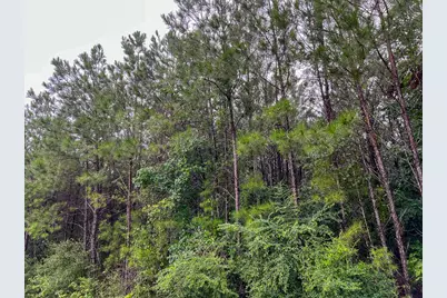 7 Sunflower Road, Livingston, TX 77351 - Photo 7
