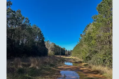03 Highway 146, Livingston, TX 77351 - Photo 17