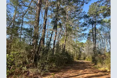 03 Highway 146, Livingston, TX 77351 - Photo 7