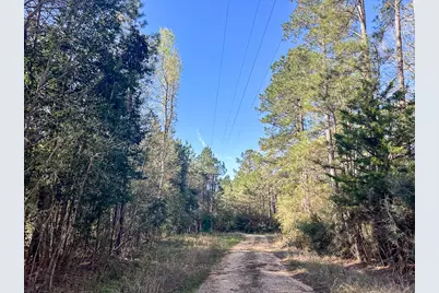 03 Highway 146, Livingston, TX 77351 - Photo 19