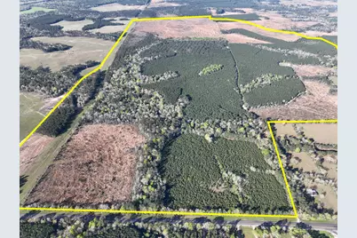 03 Highway 146, Livingston, TX 77351 - Photo 1