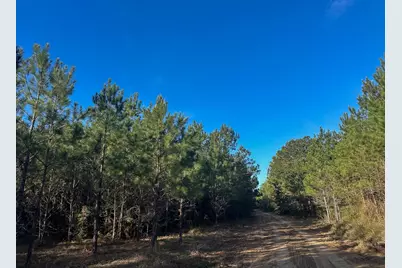03 Highway 146, Livingston, TX 77351 - Photo 9