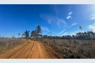03 Highway 146, Livingston, TX 77351 - Photo 15