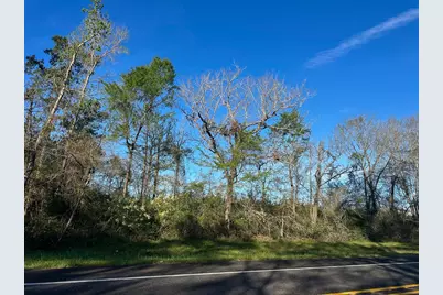 03 Highway 146, Livingston, TX 77351 - Photo 5