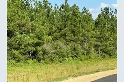 12087 High Branch Way, Willis, TX 77378 - Photo 3