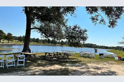 12087 High Branch Way, Willis, TX 77378 - Photo 7