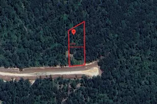 12087 High Br Wy, Willis, TX 77378 - Photo 1