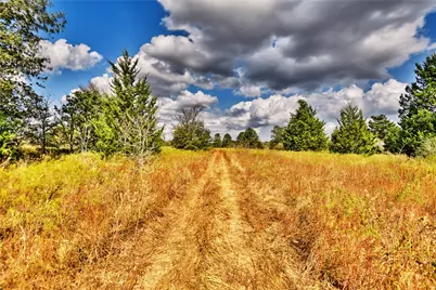 4233 00 Opersteny Road, Bryan, TX 77808 - Photo 11