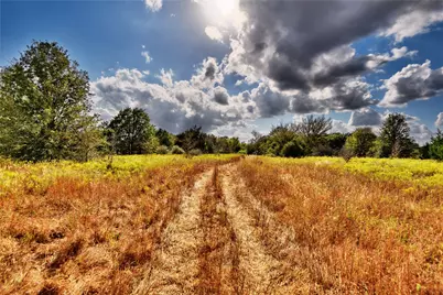 4233 00 Opersteny Road, Bryan, TX 77808 - Photo 13