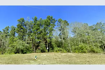 9-2-24 Windmill Road, New Waverly, TX 77358 - Photo 3