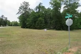 1230 County Rd 6324, Dayton, TX 77535 - Photo 1