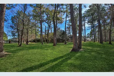 28333 Meadow Falls, Magnolia, TX 77355 - Photo 43