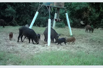 7663 State Highway 7 W, Jewett, TX 75846 - Photo 47