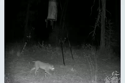 7663 State Highway 7 W, Jewett, TX 75846 - Photo 45