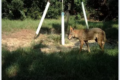 7663 State Highway 7 W, Jewett, TX 75846 - Photo 43