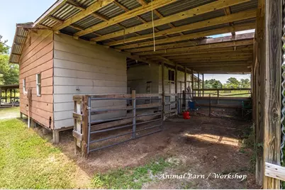 957 Dewitt Hinson Rd, Pollok, TX 75969 - Photo 27
