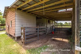957 Dewitt Hinson Rd, Pollok, TX 75969 - Photo 27