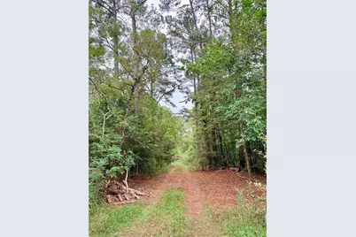 248 County Road 48824, Dayton, TX 77535 - Photo 7