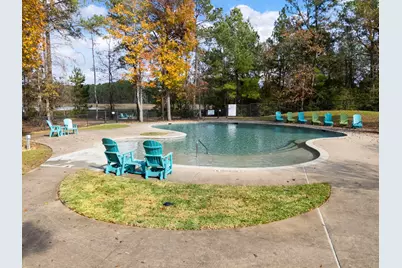 29001 Colin Court, Waller, TX 77484 - Photo 41