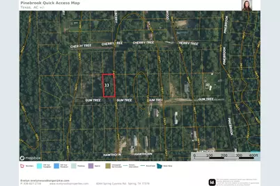 Lot 33 Gum Tree Lane, Plantersville, TX 77363 - Photo 3