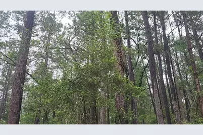 Lot 33 Gum Tree Lane, Plantersville, TX 77363 - Photo 27