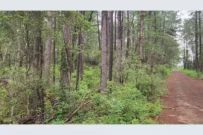 Lot 33 Gum Tree Lane, Plantersville, TX 77363 - Photo 21