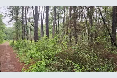 Lot 33 Gum Tree Lane, Plantersville, TX 77363 - Photo 5
