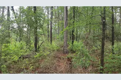 Lot 33 Gum Tree Lane, Plantersville, TX 77363 - Photo 23